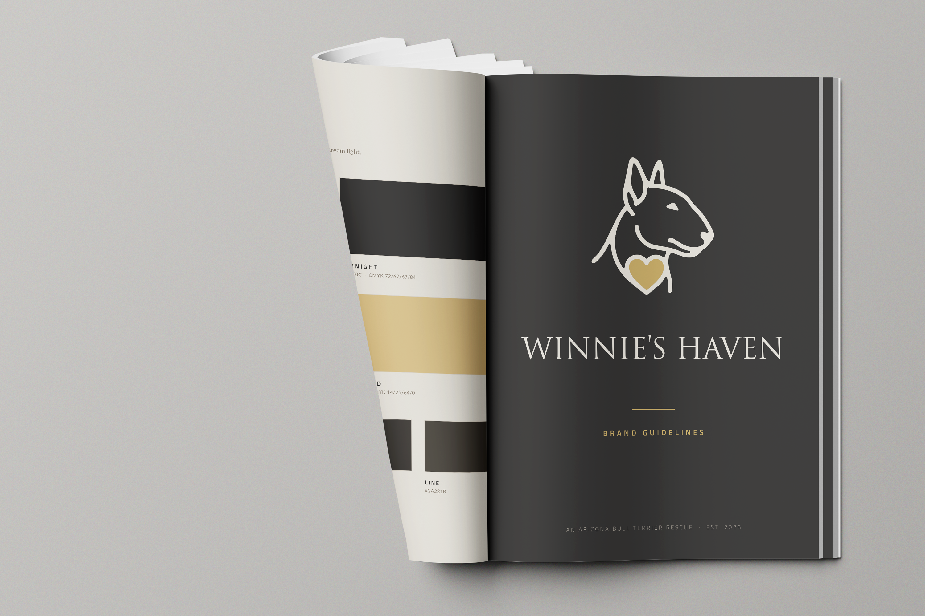 Brand identity and strategy work by Dark Matter Studio